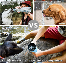 best hiking pet travel water bottle for the park
